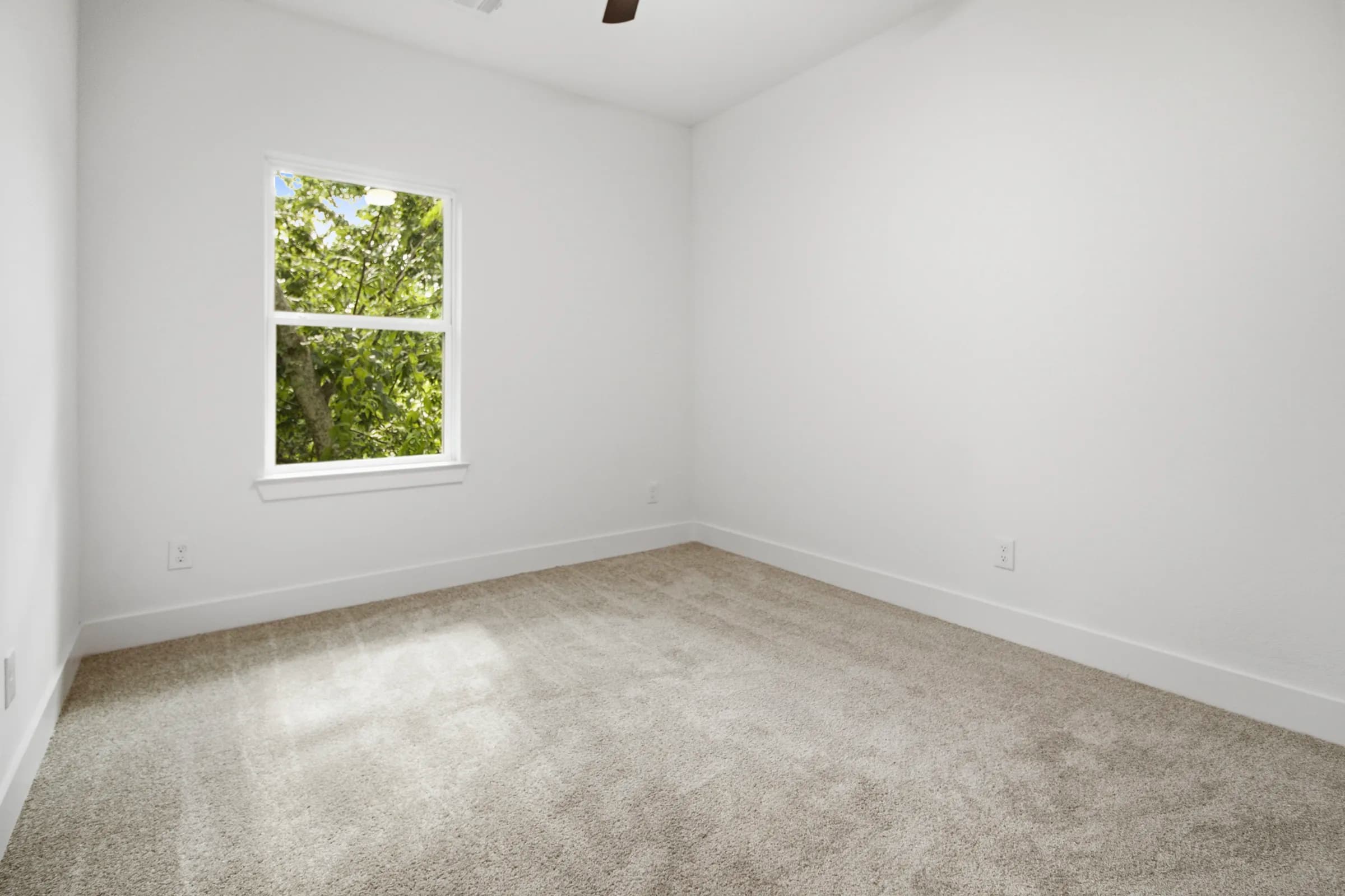 Bedroom with window views